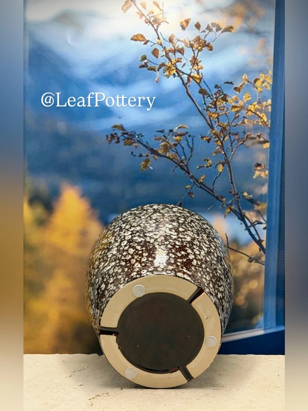 8 Inch Ceramic Planter with Attached Saucer & Drainage Hole | Speckled Brown Pot